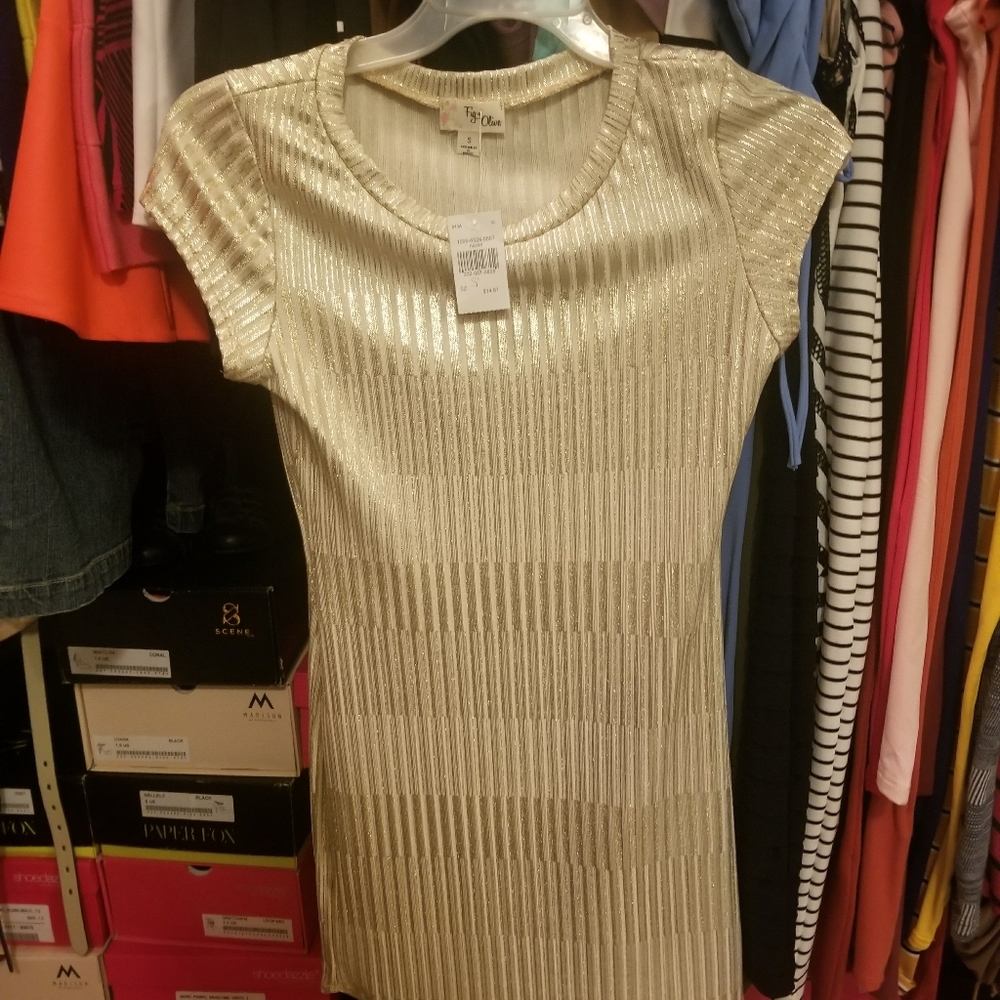 NWT Ivory and Gold Mini Dress